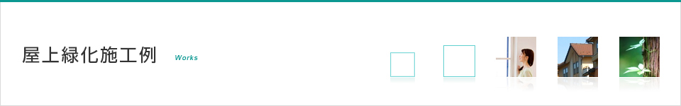 京都市中京区　N邸 屋上緑化
